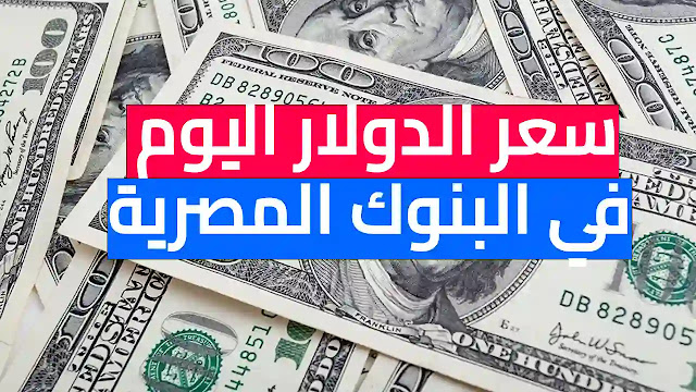 سعر الدولار اليوم الأحد 7 أغسطس في البنوك المصرية "أخر تحديث"