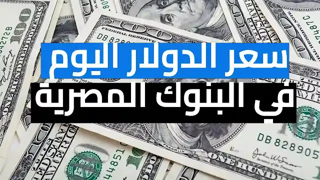 سعر الدولار اليوم الثلاثاء 27-9-2022 مقابل الجنيه المصري